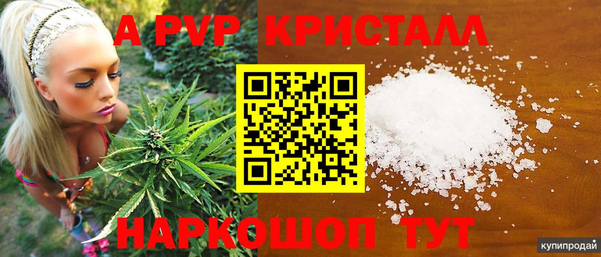Курчатов  A-PVP VHQ  A PVP  Вход с VPN  A PVP СК КРИС  Alfa_PVP крисы CK 