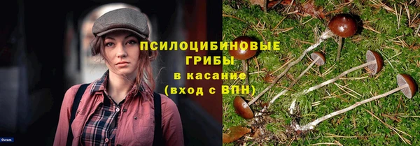 прущий лед Ветлуга