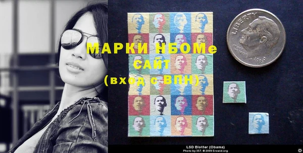 сатива Новозыбков