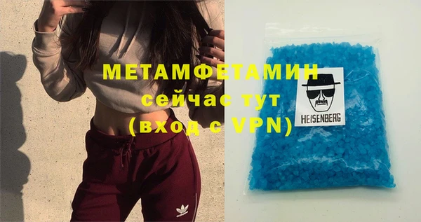 сатива Новозыбков