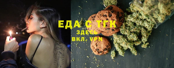 сатива Новозыбков