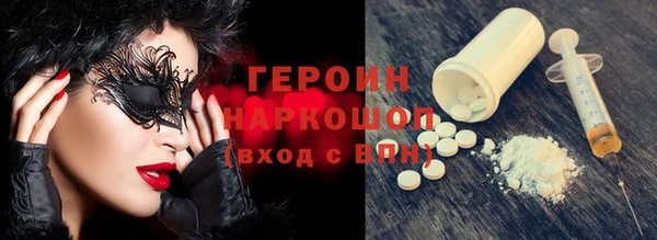 сатива Новозыбков