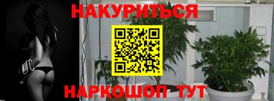 прущие грибы Будённовск