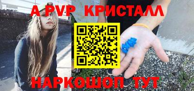 прущие грибы Будённовск