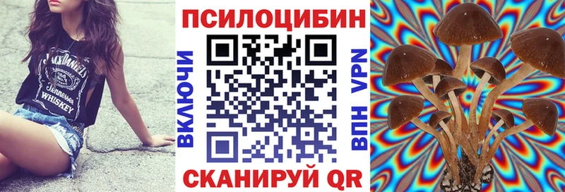 ОМГ ОМГ маркетплейс  Курчатов  Псилоцибиновые грибы мицелий 