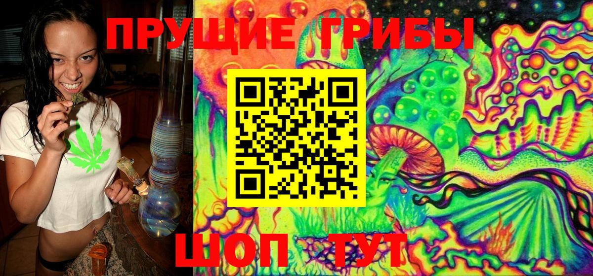 Псилоцибиновые грибы MAGIC MUSHROOMS  Курчатов 