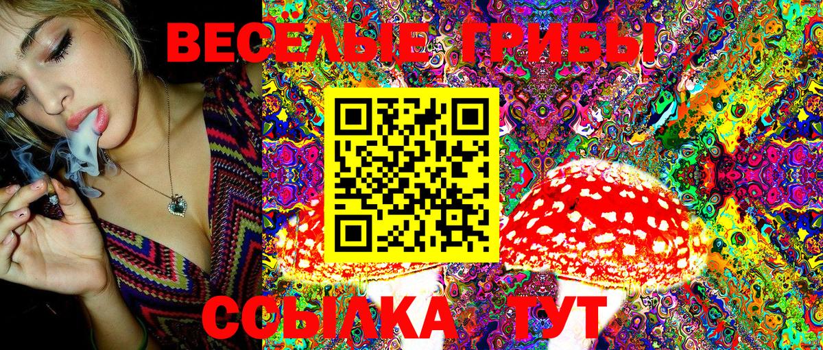 Курчатов  MDMA  Альфа ПВП СОЛЬ кристаллы  ГАШИШ  Мефедрон   Вход с VPN  Марихуана  КОКАИН 