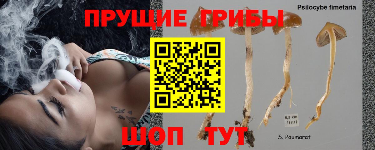 КОКАИН Курчатов